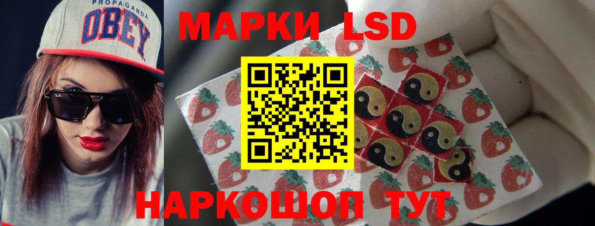 Новоалександровск  Лсд 25 экстази ecstasy  Лсд 25 экстази кислота  Вход с VPN 
