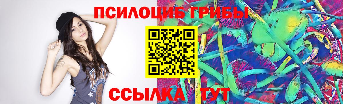 Новоалександровск  Галлюциногенные грибы мухоморы  Вход с VPN  Галлюциногенные грибы Psilocybe 