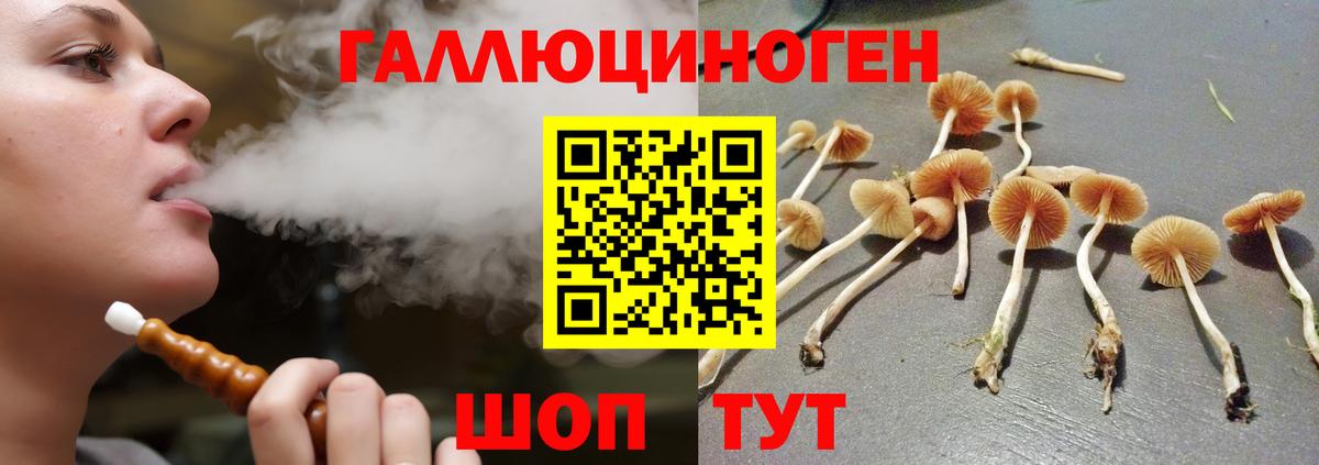 Галлюциногенные грибы мицелий Новоалександровск